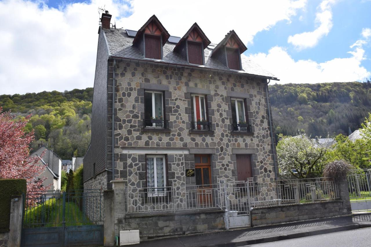 Petit Duplex De Charme Sous Les Toits Du Mont-Dore Екстер'єр фото